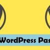 Reset WordPress Password